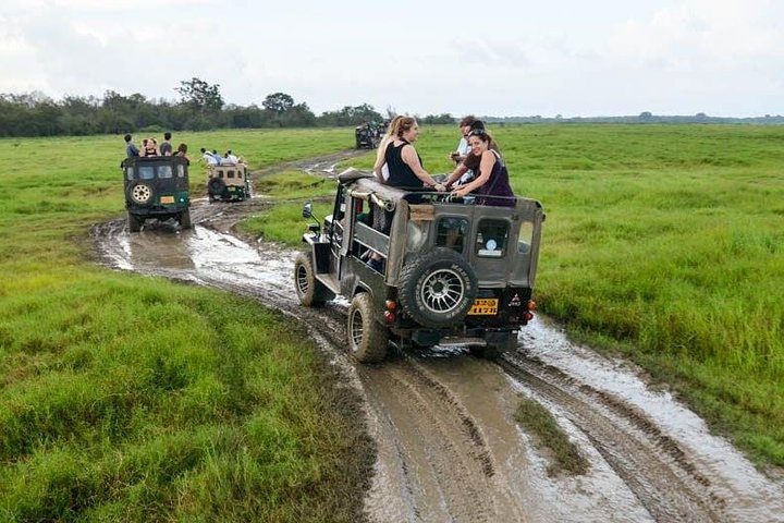 Wilpattu National Park