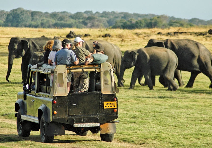 Safaris at Yala National Park