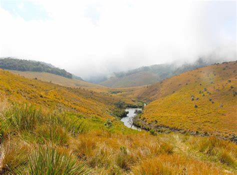 Horton Plains National Park